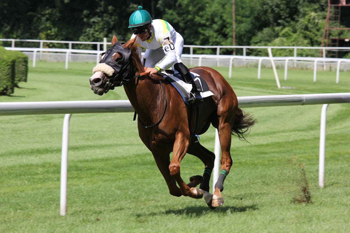 Reizen naar de Breeders Cup 2024 met een privéjet