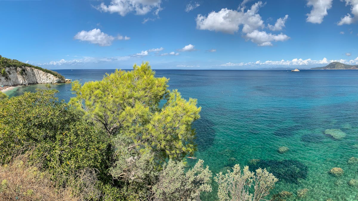 Elba